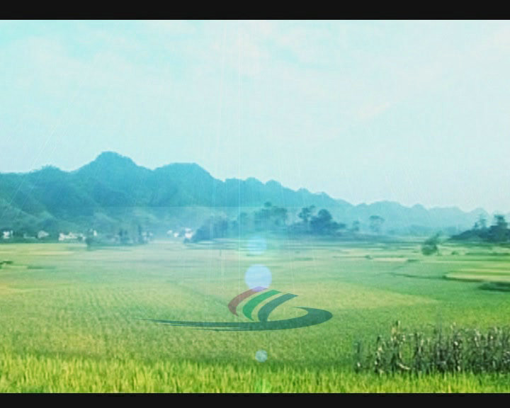 &#29699;&#36895;&#20307;&#32946;&#24179;&#21488;&#45;&#29699;&#36895;&#65288;&#20013;&#22269;&#65289;