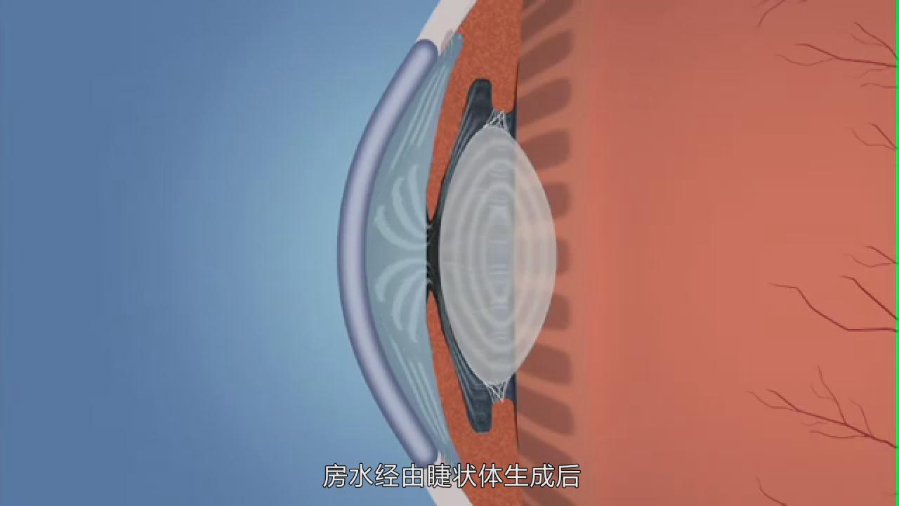 &#29699;&#36895;&#20307;&#32946;&#24179;&#21488;&#45;&#29699;&#36895;&#65288;&#20013;&#22269;&#65289;