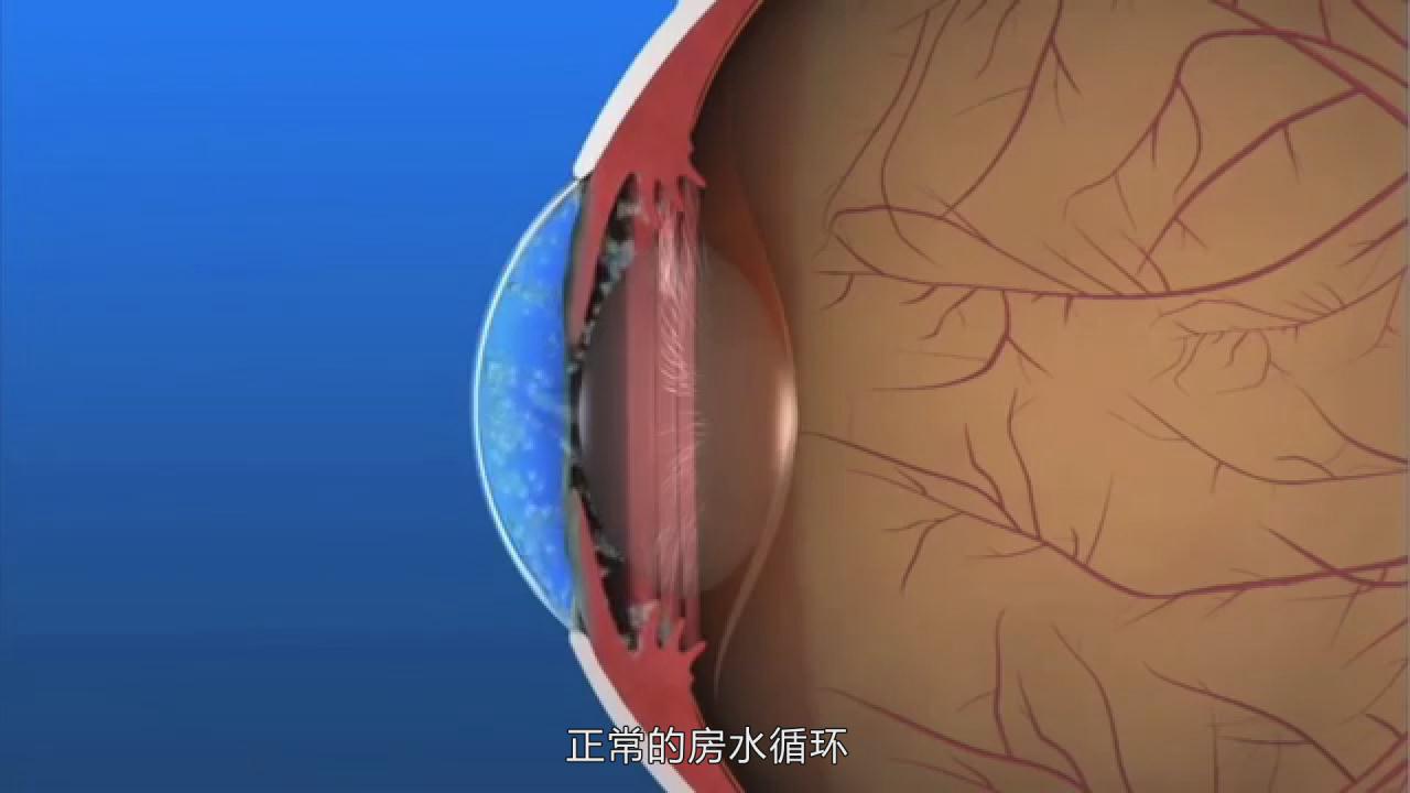 &#29699;&#36895;&#20307;&#32946;&#24179;&#21488;&#45;&#29699;&#36895;&#65288;&#20013;&#22269;&#65289;